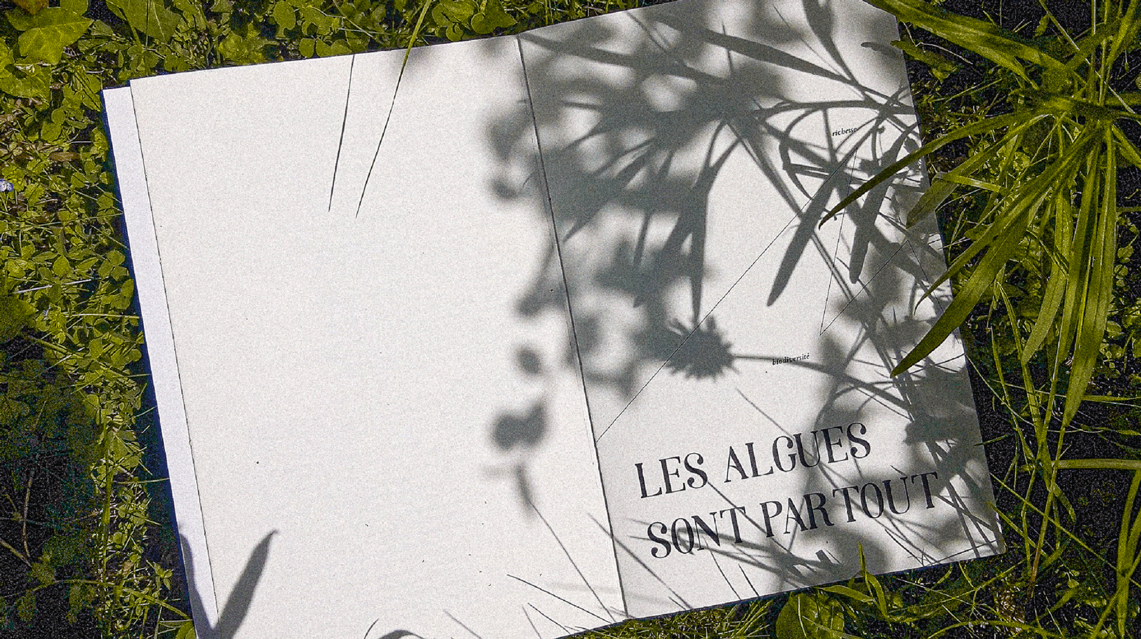 Projet 1 - Image 2